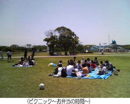 picnic.jpg